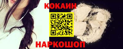 спайс Кингисепп