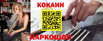 спайс Кингисепп