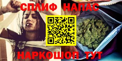 спайс Кингисепп