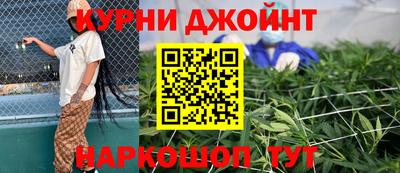 спайс Кингисепп