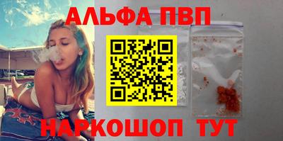 спайс Кингисепп