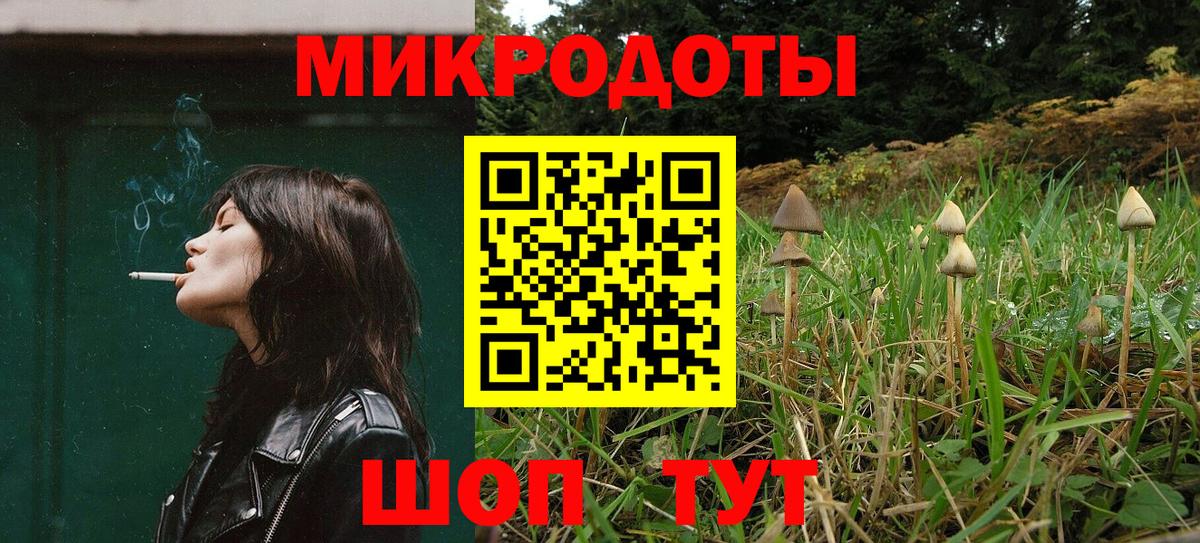 Псилоцибиновые грибы Psilocybe  Вход с VPN  Электрогорск  Псилоцибиновые грибы прущие грибы 