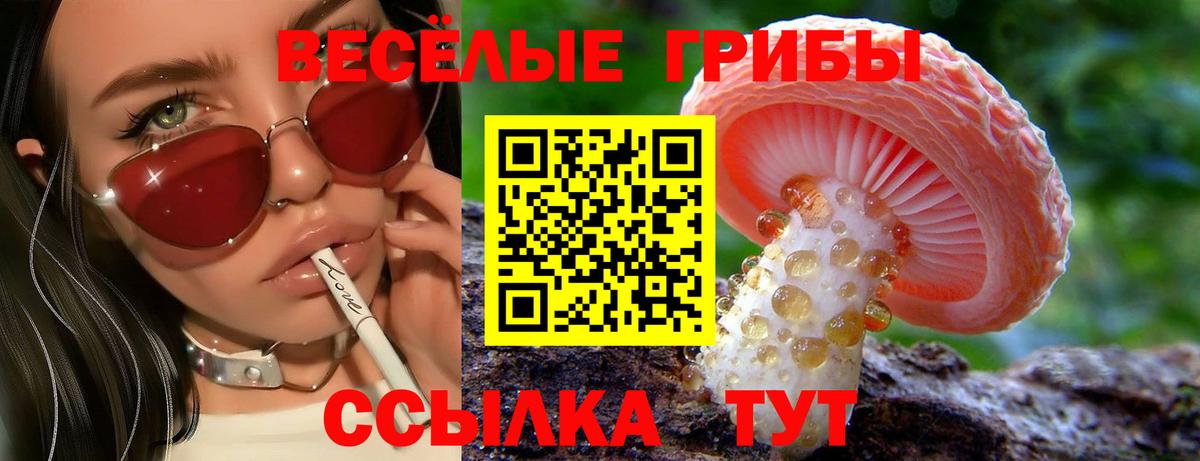 Псилоцибиновые грибы Magic Shrooms Электрогорск